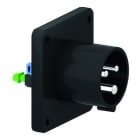 Bals - Socle de connecteur noir tableau droit 230V 2P+T 6h 16A IP44 pour l'évènementiel