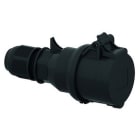 Bals - Prolongateur noir avec presse étoupe 400V 3P+N+T 6h 16A IP44 pour l'évènementiel