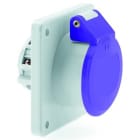 Bals - Socle TD 24V ALT 2P 16A IP44 TBT