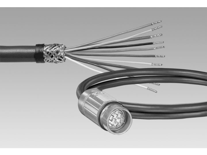Baumer - Connector 19pin female 423 straight cabl