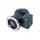 Baumer - EExGP0,2 L-4