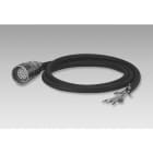 Baumer - S2BG12 with cable-mg05 - 10.00 m