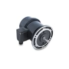 Baumer - TDP0,2 LT-4 B10 55 + OG9 DN 10 I