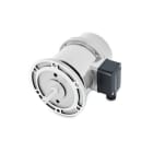 Baumer - TDP0,2E LT-4 B10 55 EG