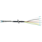 Baumer - CA.TPE5-11702289