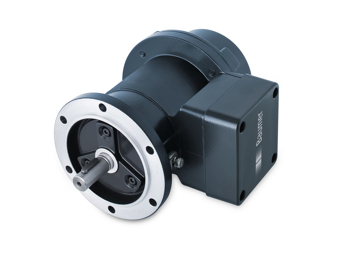 Baumer - EExGP0,2 L-15