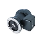 Baumer - EExGP0,2 L-15