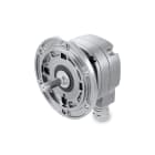 Baumer - EHOG840-S11100012