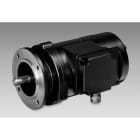 Baumer - GMP1,0 LT-16 B5 12X20