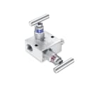 Baumer - 2 VALVE MANIFOLD HAL6M02V