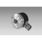 Baumer - RTD 1 A 4 Y 4 P1 7 10 0.5 D2SR12 14