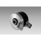 Baumer - RTD 4 A 4 Y12 P1 7 10 0.5 D2SR12 10