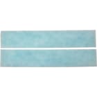 Atlantic Clim & Ventil - Filtre desodorisant (x2) - Pièce de rechange origine fabricant