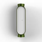 Roger Pradier - Roger Pradier - IBUK LED 3000°K 10-40 Façade PC blanc Vert 109