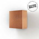 Roger Pradier - Roger Pradier - Applique Klint N°3 4000°K Cuivre brut 082