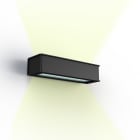 Roger Pradier - Applique Plemo N°2 G9 - 9W Gris noir 107