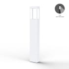 Roger Pradier - Borne Tétra N°4 LED 12w asymetrique 12w 2700°k Blanc pur 101