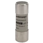 Mersen - Fusible cartouche cylindrique gG 22x58 CEI 690VAC 25A