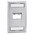Panduit - Faceplate, 2 Port, Single Gang Sloped Re