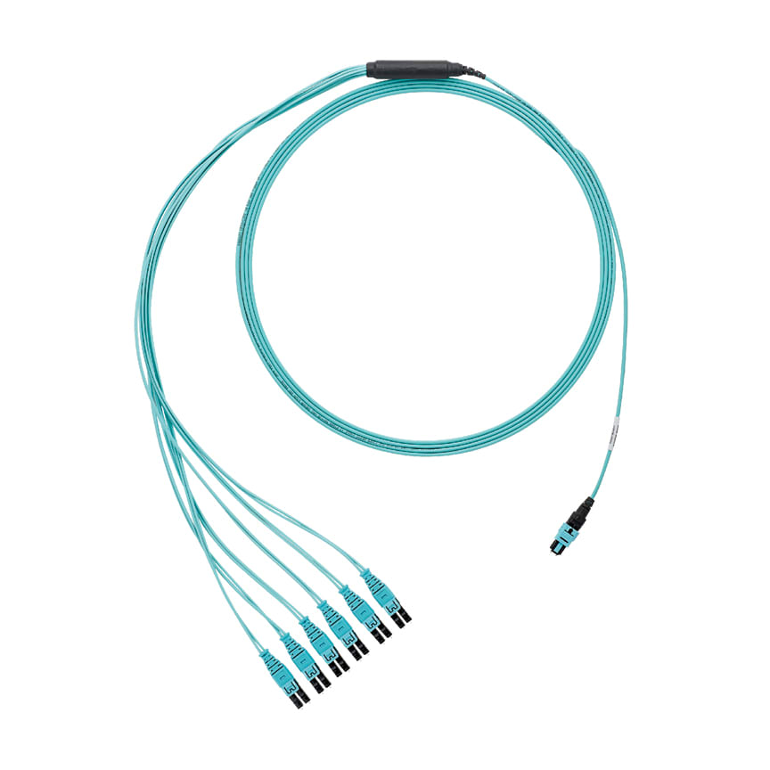 Panduit - OM3 12-Fiber Round Harness, LSZH, Male P