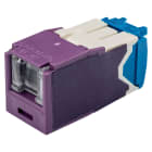 Panduit - Module jack Mini-Com? UTP RJ45 Cat 6A,TG,Obturé,Mauve,Qté:1