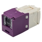 Panduit - Module jack Mini-Com? UTP RJ45 Cat 6,TG,Obturé,Mauve,Qté:1