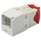 Panduit - Module jack Mini-Com? UTP RJ45 Cat 5E,TG,obturé,Blanc arctique,Qté:1