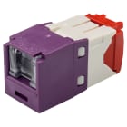 Panduit - Module jack Mini-Com? UTP RJ45 Cat 5E,TG,Obturé,Mauve,Qté:1