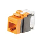 Panduit - Category 6A NetKey Punchdown Module, OR