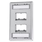 Panduit - Faceplate, 4 Port, Single Gang Sloped Re
