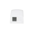 Panduit - NK 2-Port Surface Mount Box, White