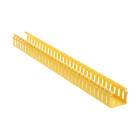 Panduit - Channel, Hinged, Slotted Wall, 2" x 2" (