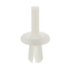 Panduit - Rivet Nylon pour goulottes de câblage;Cdt.100