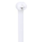 Panduit - Collier serrage Barb-Ty sans crantage;221x7mm;PA 6.6 naturel (-60°C à 85°C); Cdt