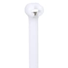 Panduit - Collier serrage Barb-Ty sans crantage;221x7mm;PA 6.6 naturel (-60°C à 85°C); Cdt