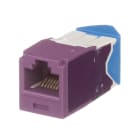Panduit - Module jack Mini-Com? UTP RJ45 Cat 6A,TG,gauche/droite,Mauve,Qté:1