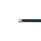 Panduit - IMS Strapping Blue, 316L SS, Epoxy FC,