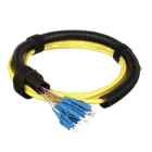 Panduit - OS2 12f Trunk OFNR LC Sim 18" Breakout P