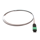 Panduit - OS2 12f Ribbon Assembly, MPO Female to P