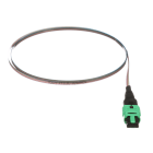 Panduit - OS2 12f Ribbon Assembly, PanMPO Female t