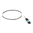 Panduit - OM4 12f Ribbon Assembly, MPO Female to P