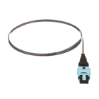 Panduit - OM4 12f Ribbon Assembly, PanMPO Female t