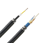 Panduit - Ind/Out Central Tube Armored OM4 24 Fibe
