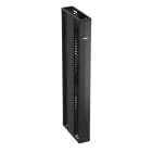 Panduit - PE2V Cable Manager - 8" Wide - Double Si