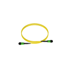 Panduit - OS2 12f Interconnect LSZH MPO F/MPO F Ty