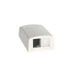 Panduit - NK 2-Port Surface Mount Box, Arctic Whit