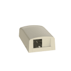 Panduit - Surface Mount Box, 2 Port, Electric Ivor