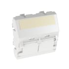 Panduit - Plastron Angulaire 45x45 - 2 ports avec Volet - Blanc Artic