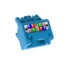 Panduit - Cat6a Up/Down 45 Degree TG Wirecap, Blue
