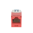 Panduit - Module jack avec cadre de montage Mini-Com? UTP RJ45,Cat 6A,TG,Rouge,Qté:1